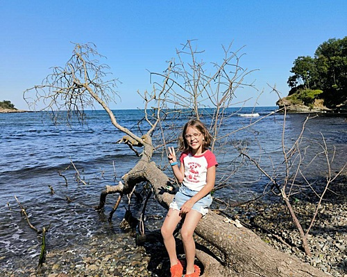 Зображення з галереї