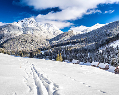 Зображення з галереї